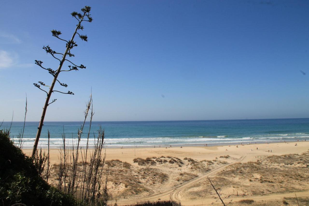 Estudio En El Centro De Conil Conil De La Frontera Dış mekan fotoğraf